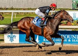Who Won the Kentucky Derby 2026? Kentucky Derby result